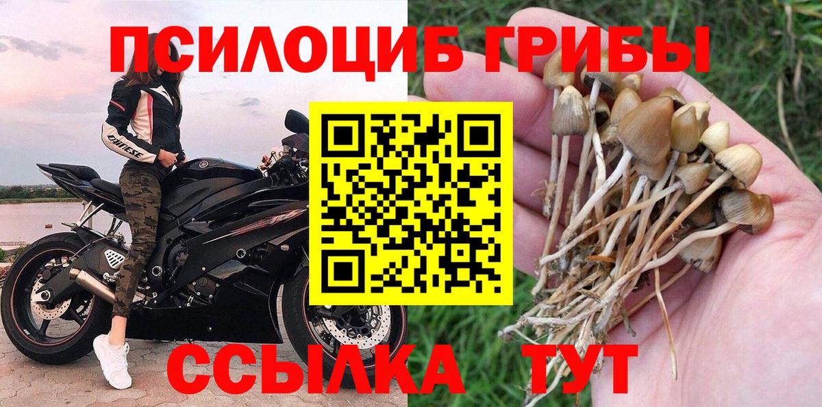 Галлюциногенные грибы MAGIC MUSHROOMS  наркотики  Сибай  Вход с VPN 